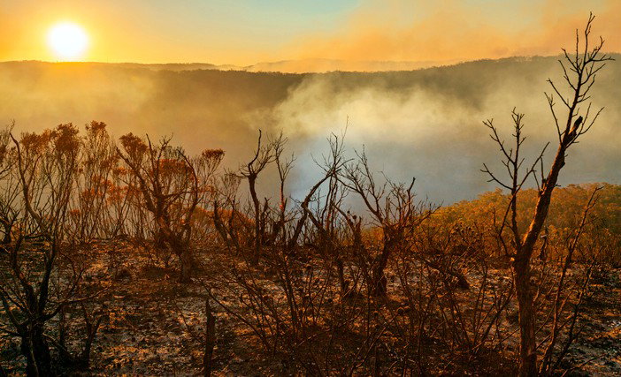 Pożary w Australii mogą wpłynąć na zmiany klimatyczne na całym świecie (fot. Getty Images)