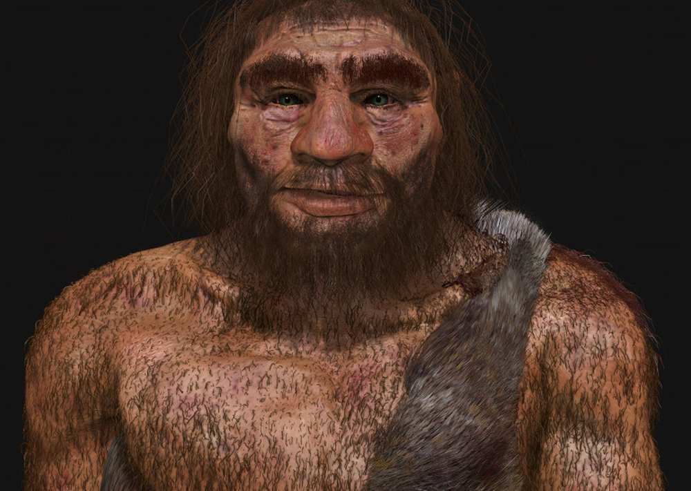 neandertalczyk