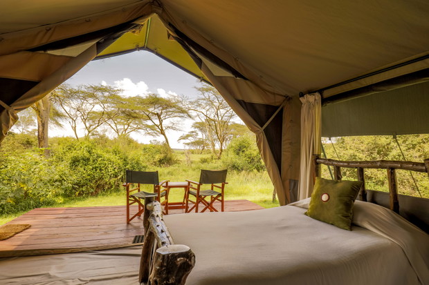 Glamping