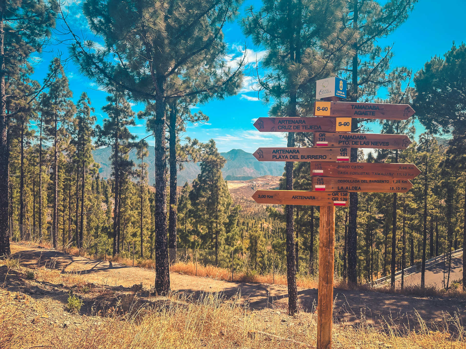 Route 1_ Artenara through historic pine forests