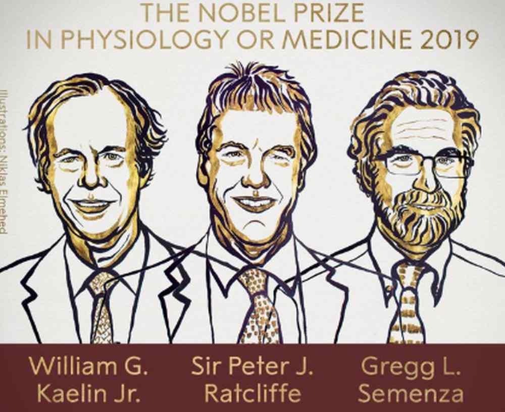 Nobel 2019 z medycyny