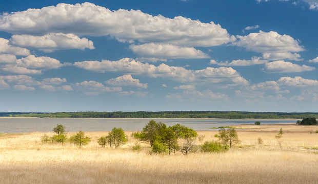 jezioro Łebsko