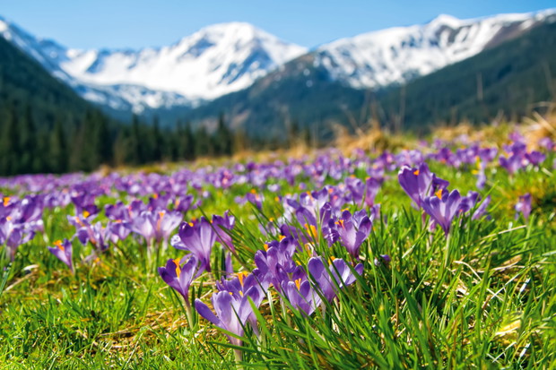 Tatry