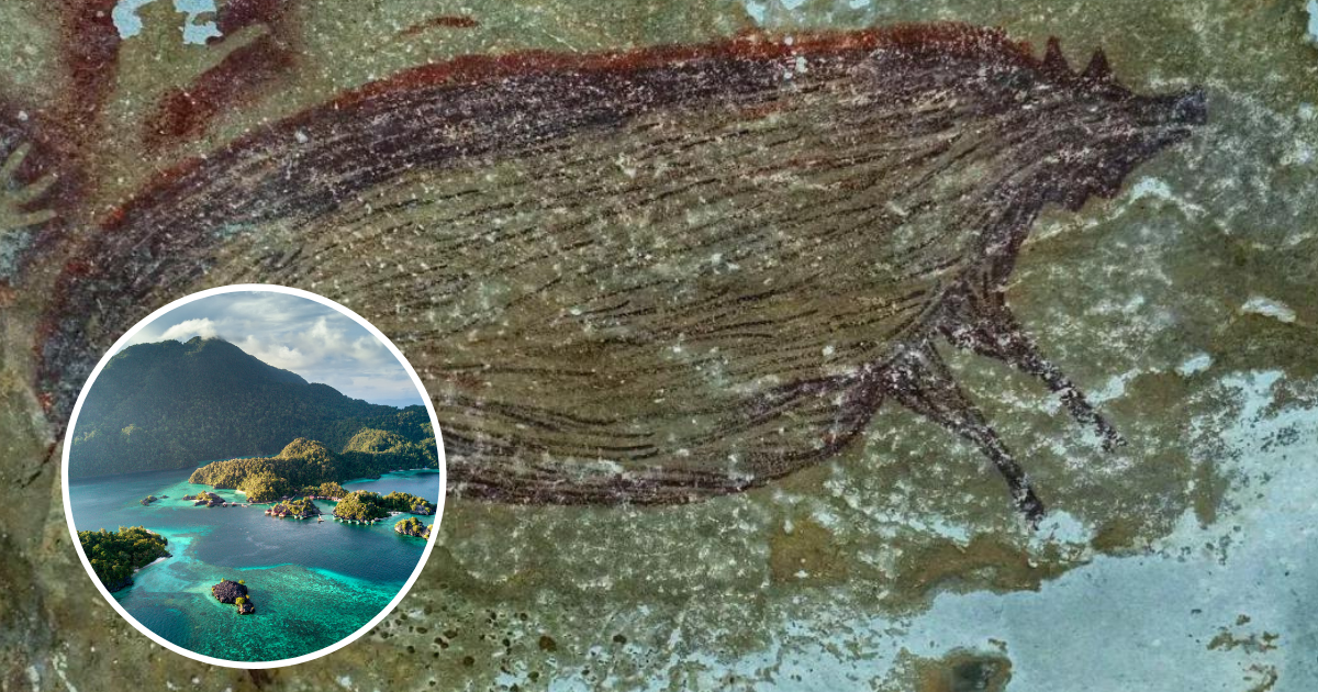 malowidła Celebes