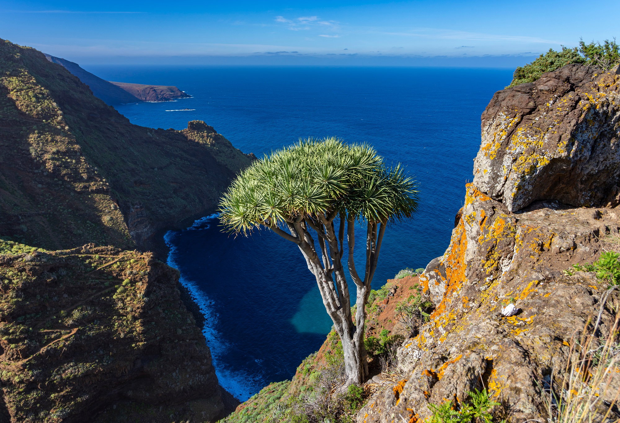 La Palma: spacerem po wulkanach Wysp Kanaryjskich