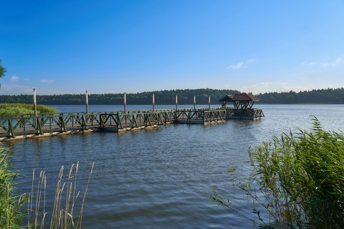 Gołdap