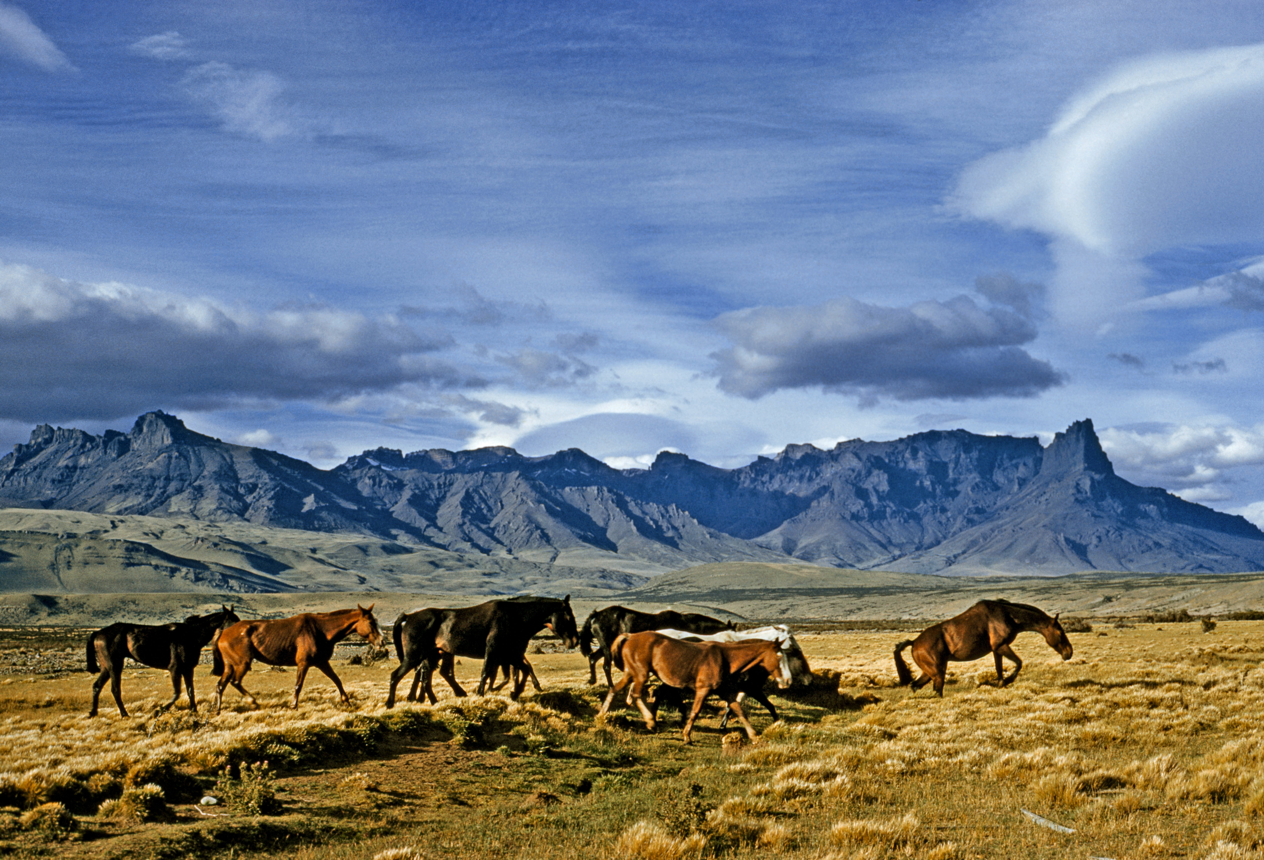 Sierra Baguales