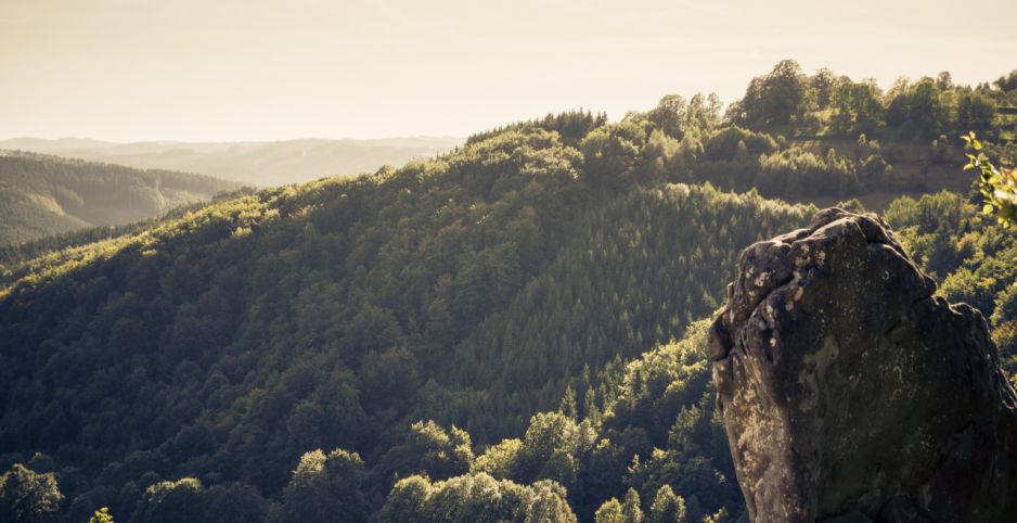 Sudety nie gorsze niż Karpaty! Sprawdź, dlaczego warto tu przyjechać