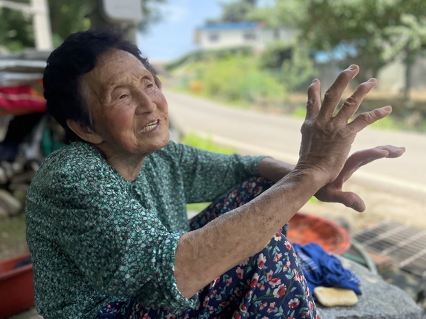 85-letnia Song Yoon-Yeo, mieszkanka wioski położonej w pobliżu strefy zdemilitaryzowanej, wspomina trudne lata życia w powojennej Korei Południowej – gotowanie na skradzionym drewnie, przemierzanie kilometrów w poszukiwaniu jedzenia i brak dostępu do usłu