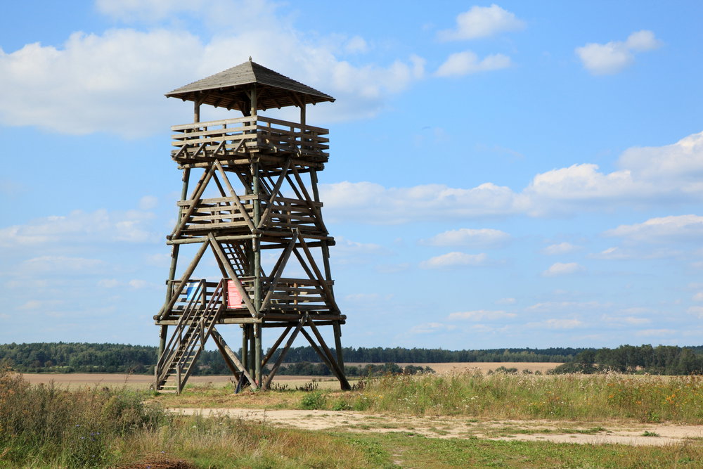 Miedzyrzec