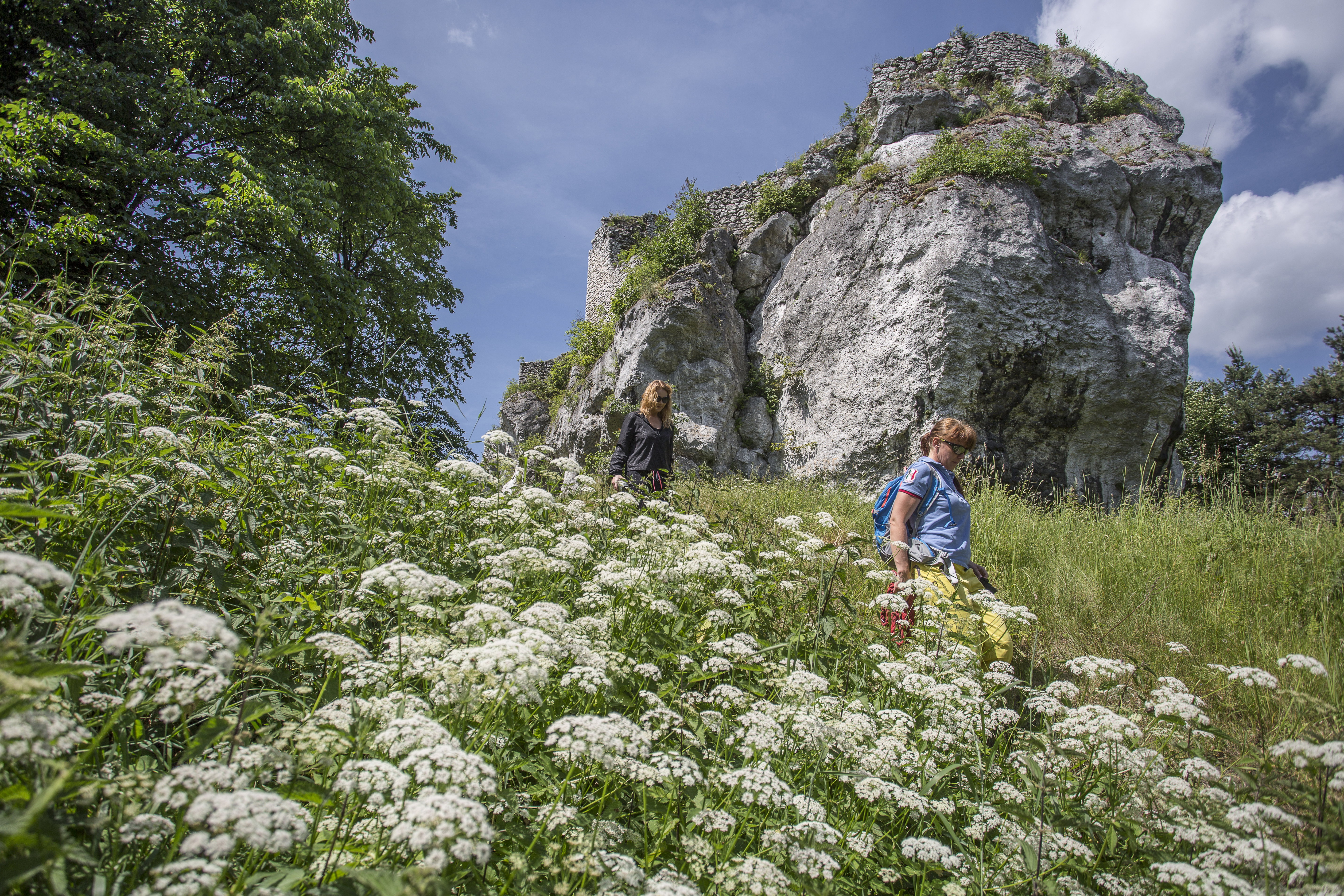 Jura Krakowsko-Częstochowska - miejsce mocy