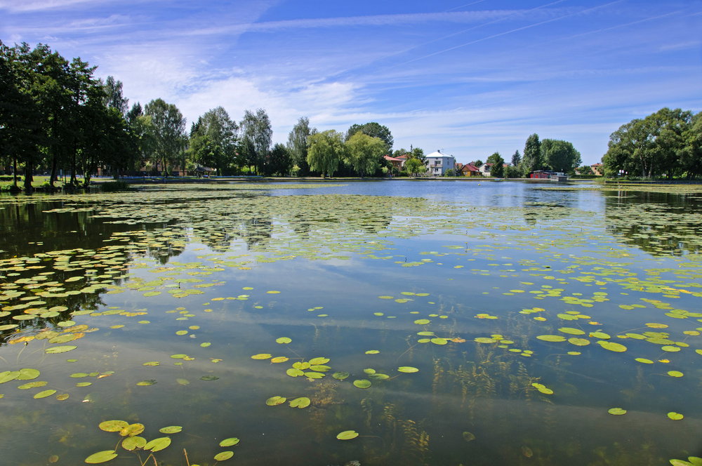 shutterstock_110387174