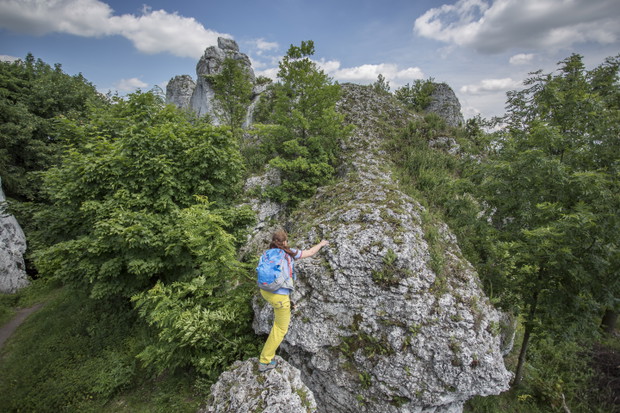 Jura Krakowsko-Częstochowska - miejsce mocy