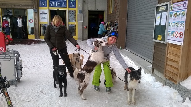 Szwajcarski Jungfrau: narty z „dziewicą”