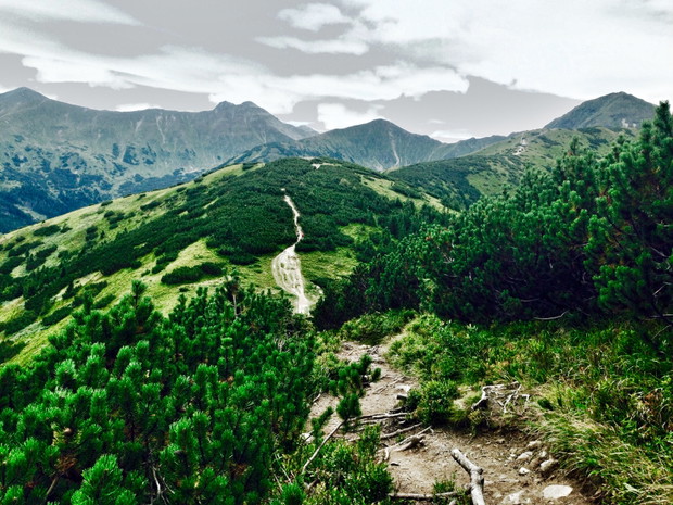 Tatra Vertical