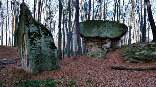 kamień grzyb