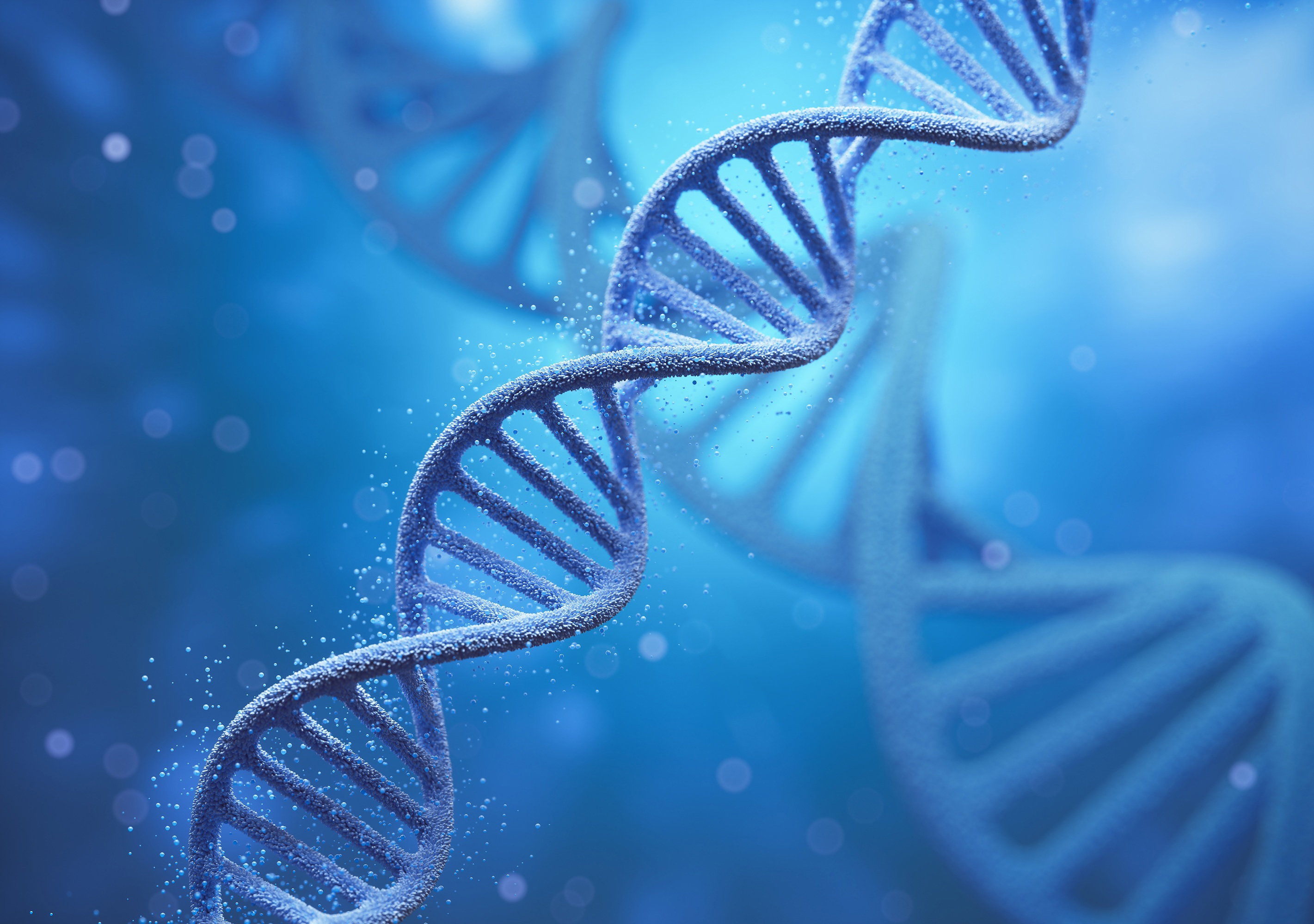 Od nukleotydu do helisy. Tajemnice budowy DNA