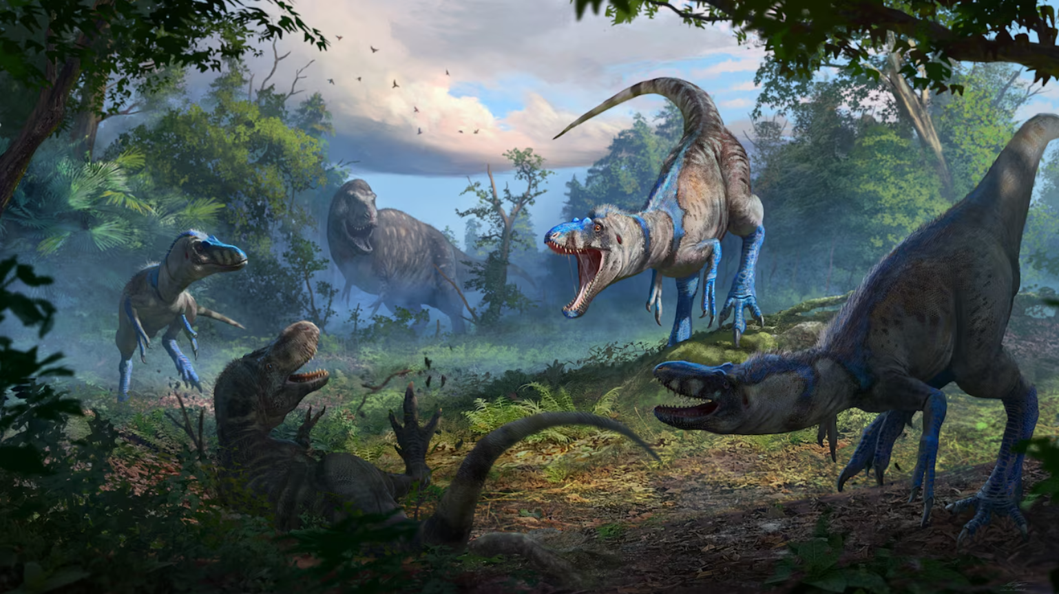 Nanotyrannus długo uważano za młodego T. rexa, lecz nowe dowody wskazują, że był to inny gatunek.