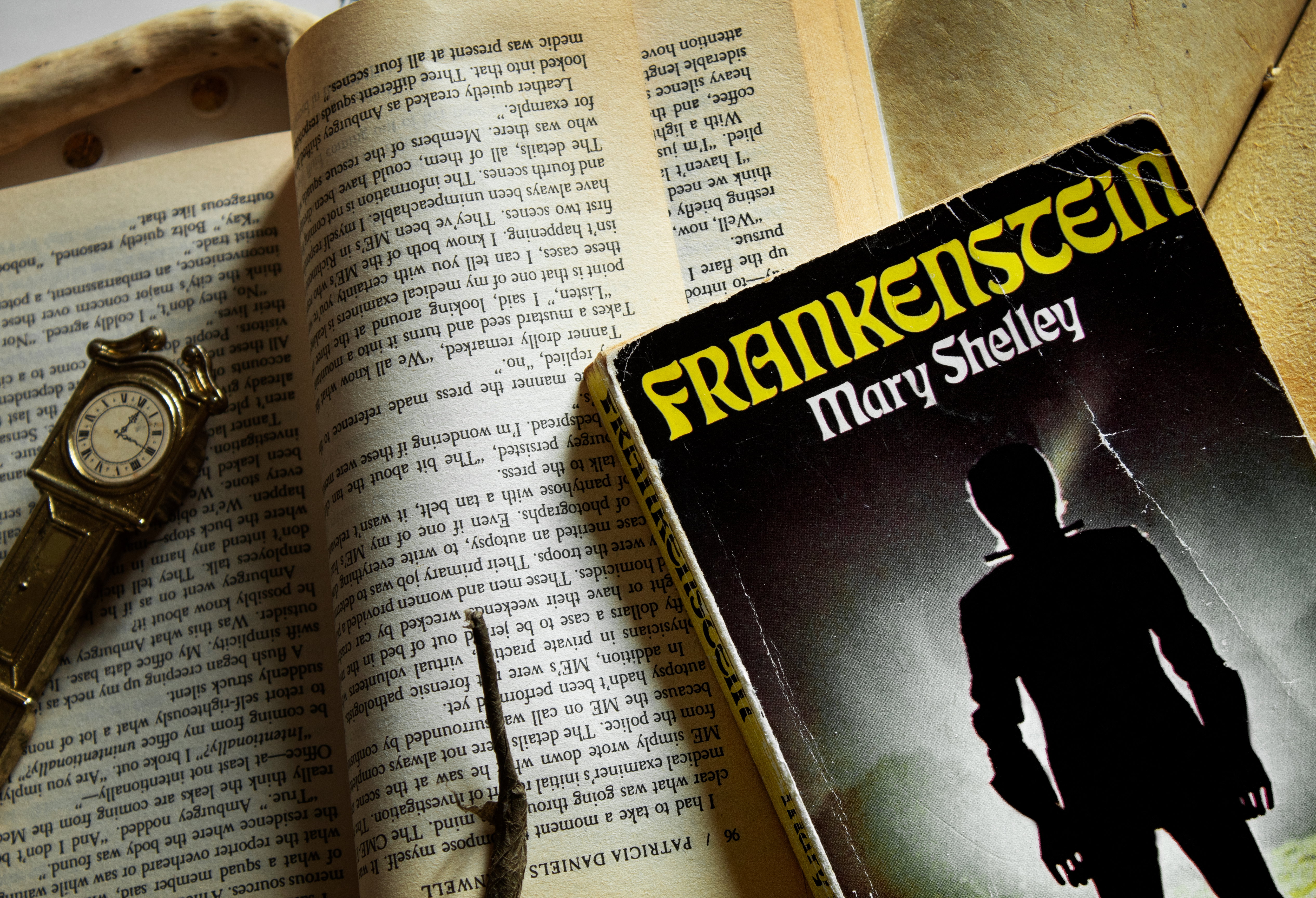 „Frankenstein” aut. Mary Shelley