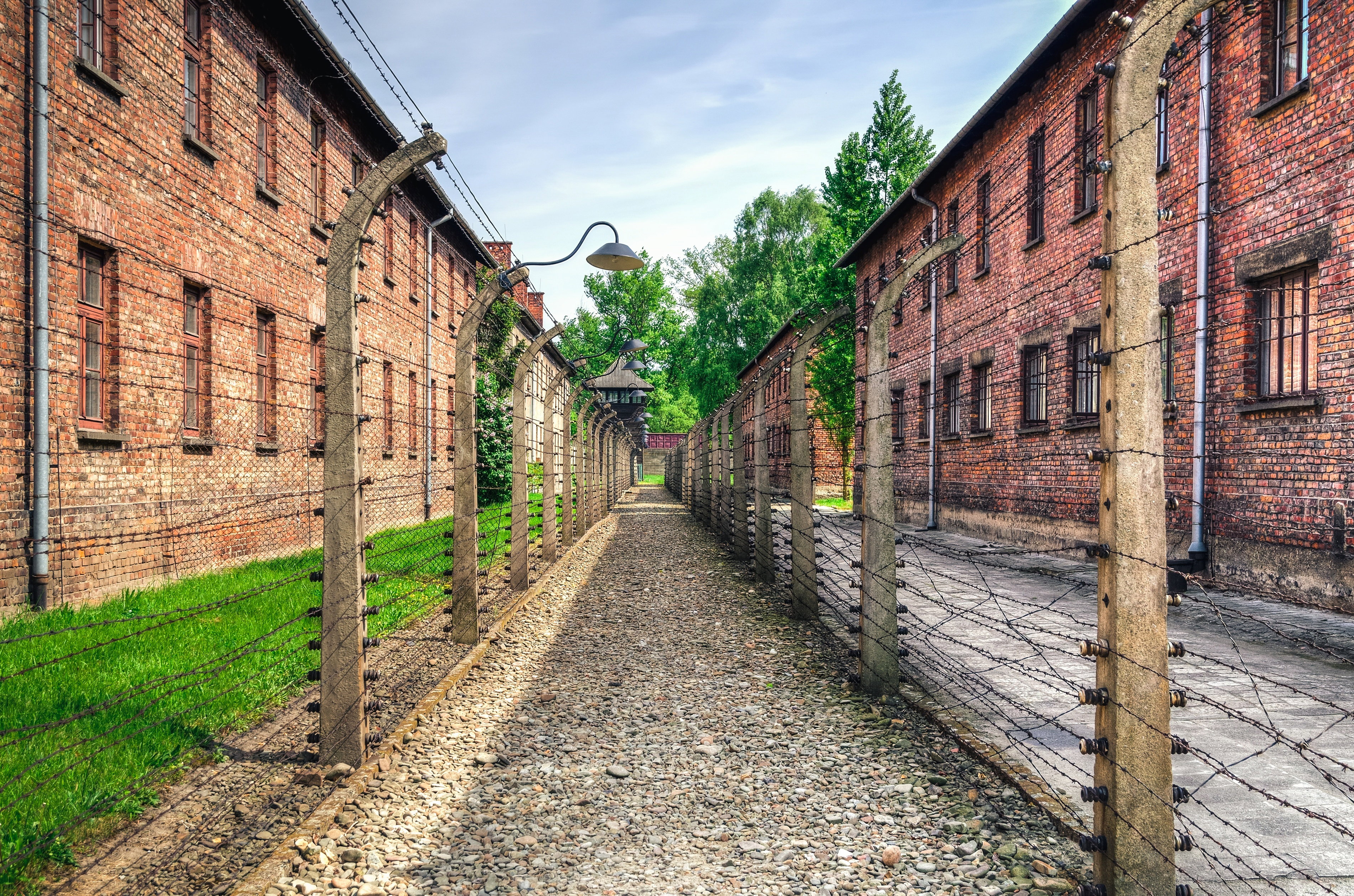 Kontrowersyjna aukcja przedmiotów związanych m.in. z ofiarami obozu koncentracyjnego Auschwitz została wstrzymana