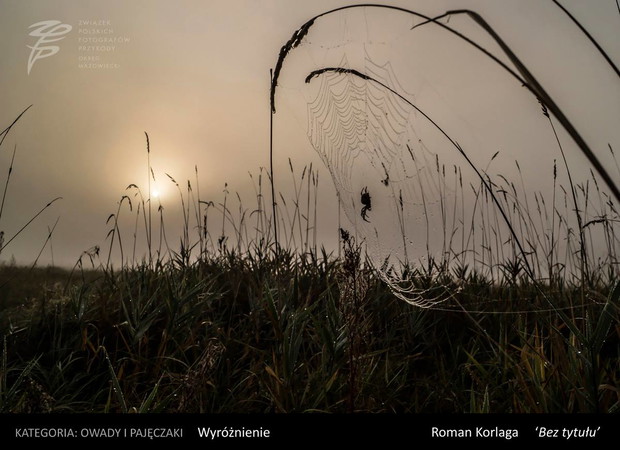 Konkurs na Fotografa Roku 2016 Okręgu Mazowieckiego ZPFP