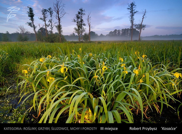 Konkurs na Fotografa Roku 2016 Okręgu Mazowieckiego ZPFP