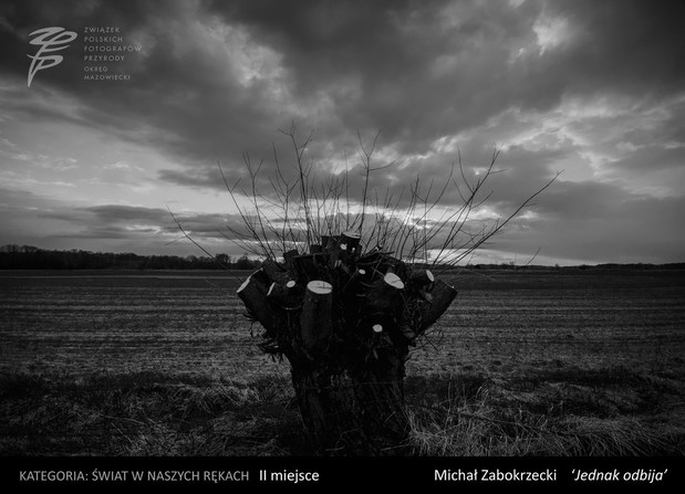 Konkurs na Fotografa Roku 2016 Okręgu Mazowieckiego ZPFP
