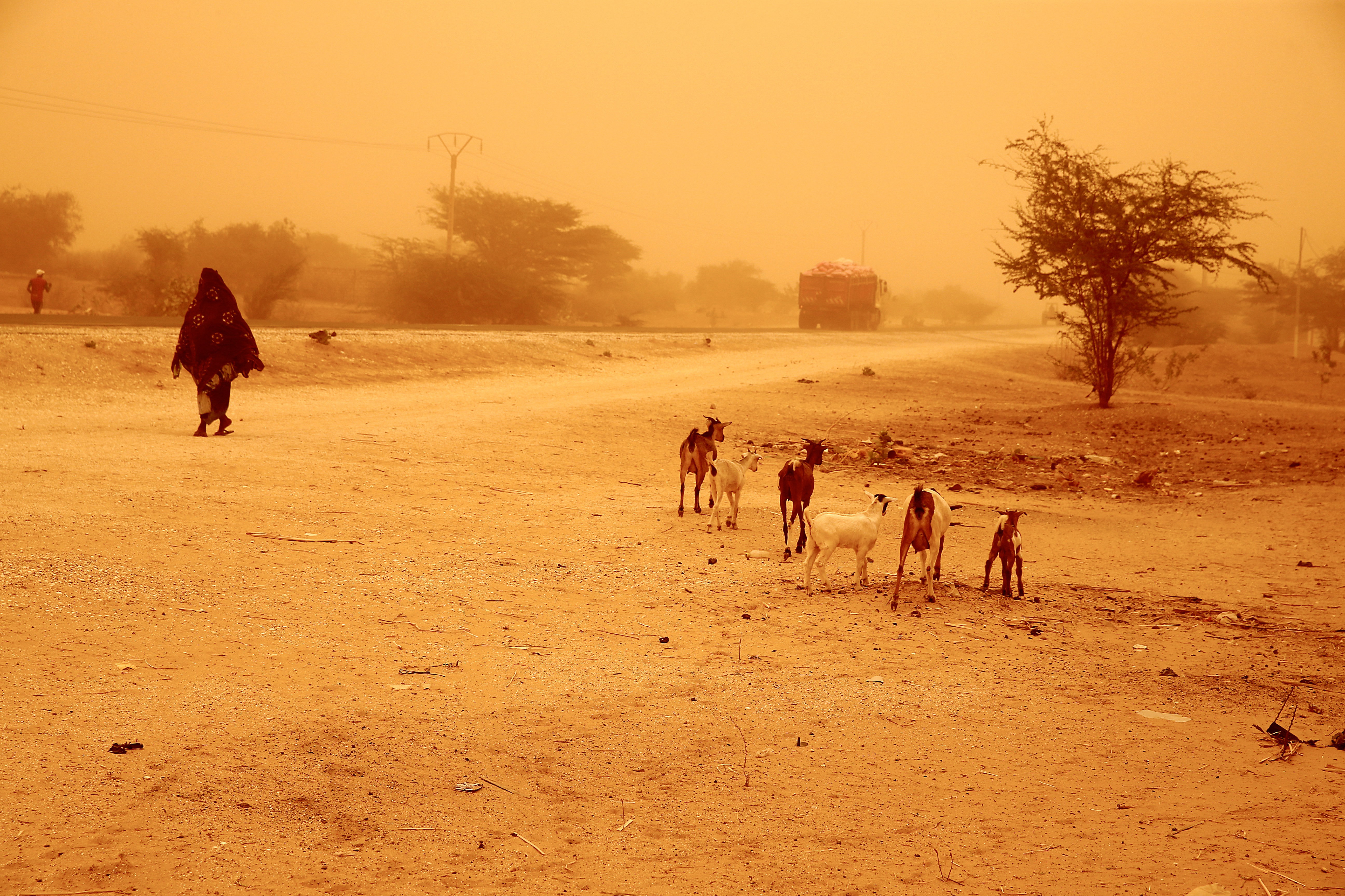Wiatr Harmattan w Senegalu