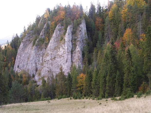 biala-wodA-2