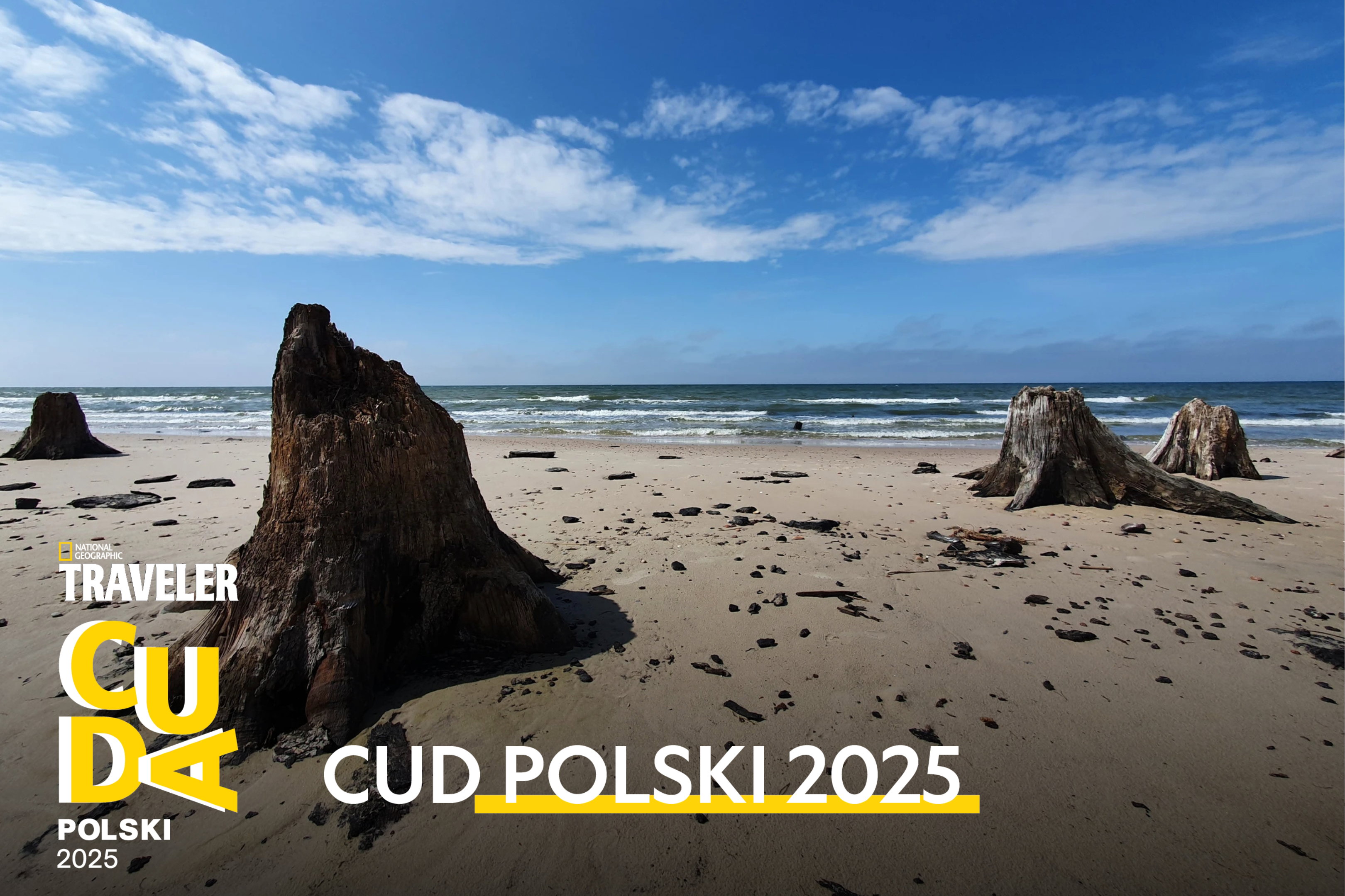 Polskie wybrzeże skrywa wiele skarbów, ale ten został Cudem Polski 2025. Gdzie znajdziecie Zatopiony Las?