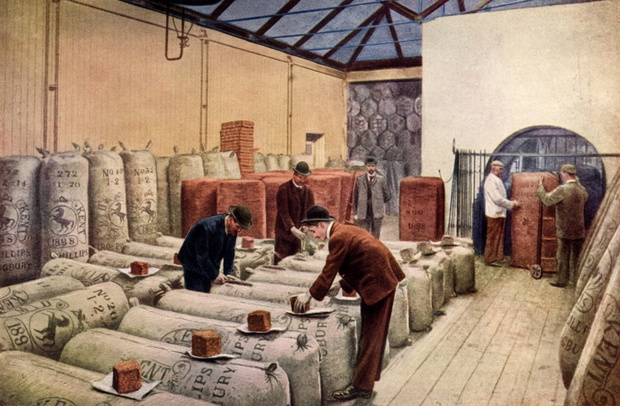 Hop-sampling warehouse, Arthur Guinness, Son &amp; Co., Ltd., Dublin, Ireland. Both American hops and those grown in Kent, England, were used. From The Practical Grocer (London, 1905).