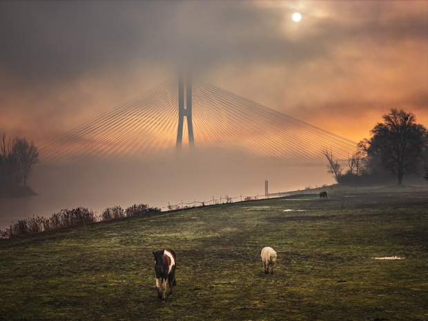 Nowy początek, fot. Jakub Migdałek