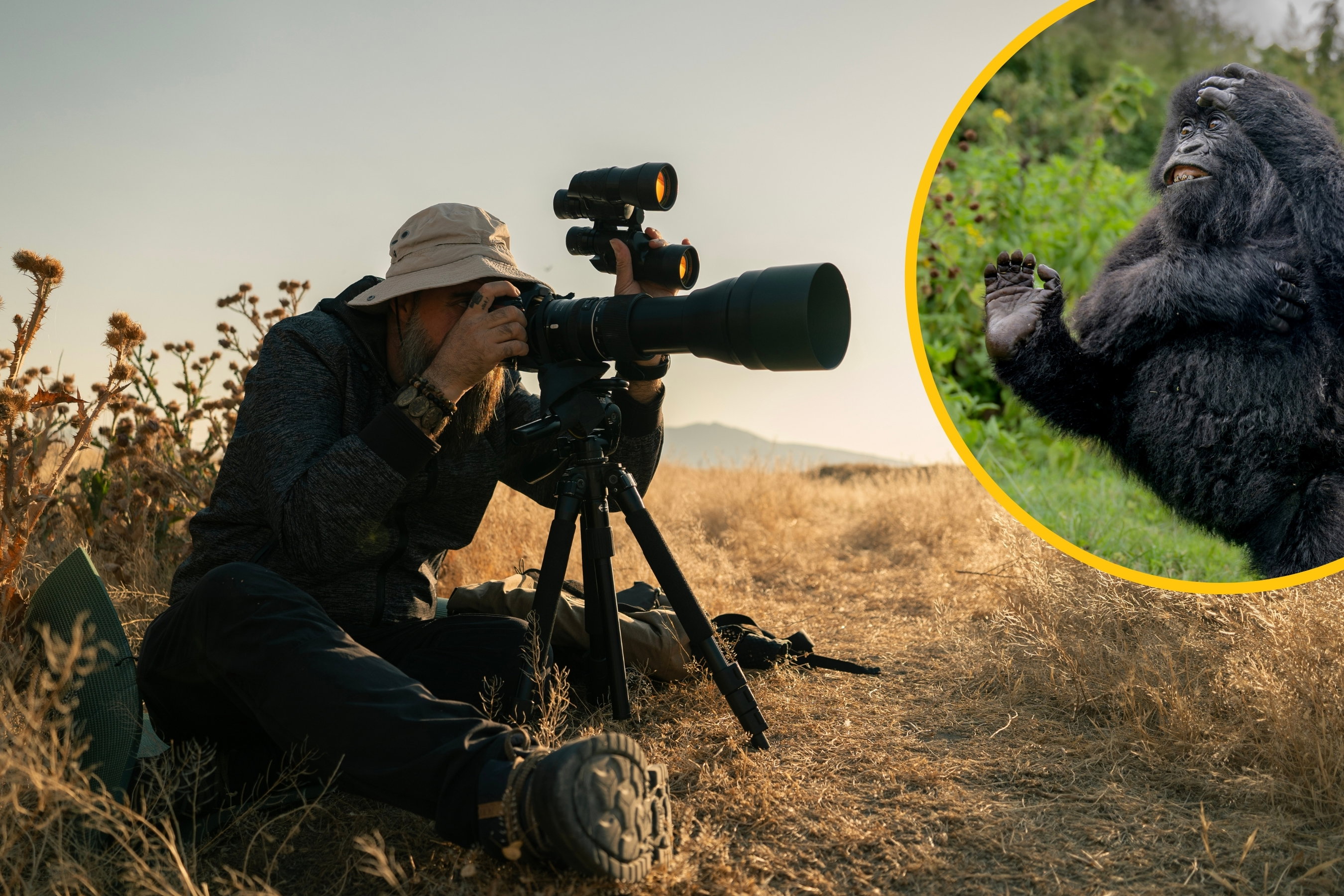 Niesamowity tańczący goryl z nagrodą najzabawniejszego zdjęcia dzikiej przyrody. Znamy wyniki Nikon Comedy Wildlife Awards 2025