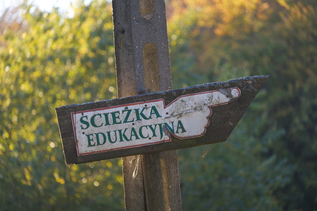 język polski