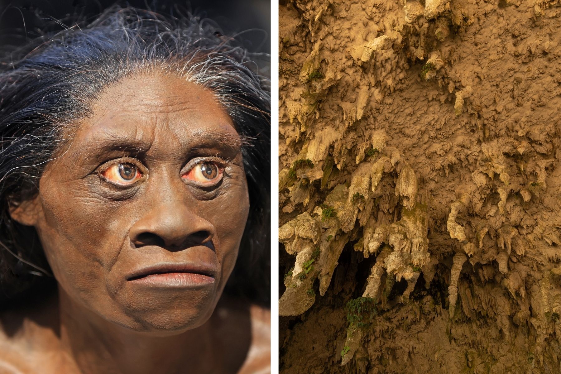 Zagadka wymarcia „hobbitów” wyjaśniona? Odpowiedź była „zaklęta” w stalagmitach