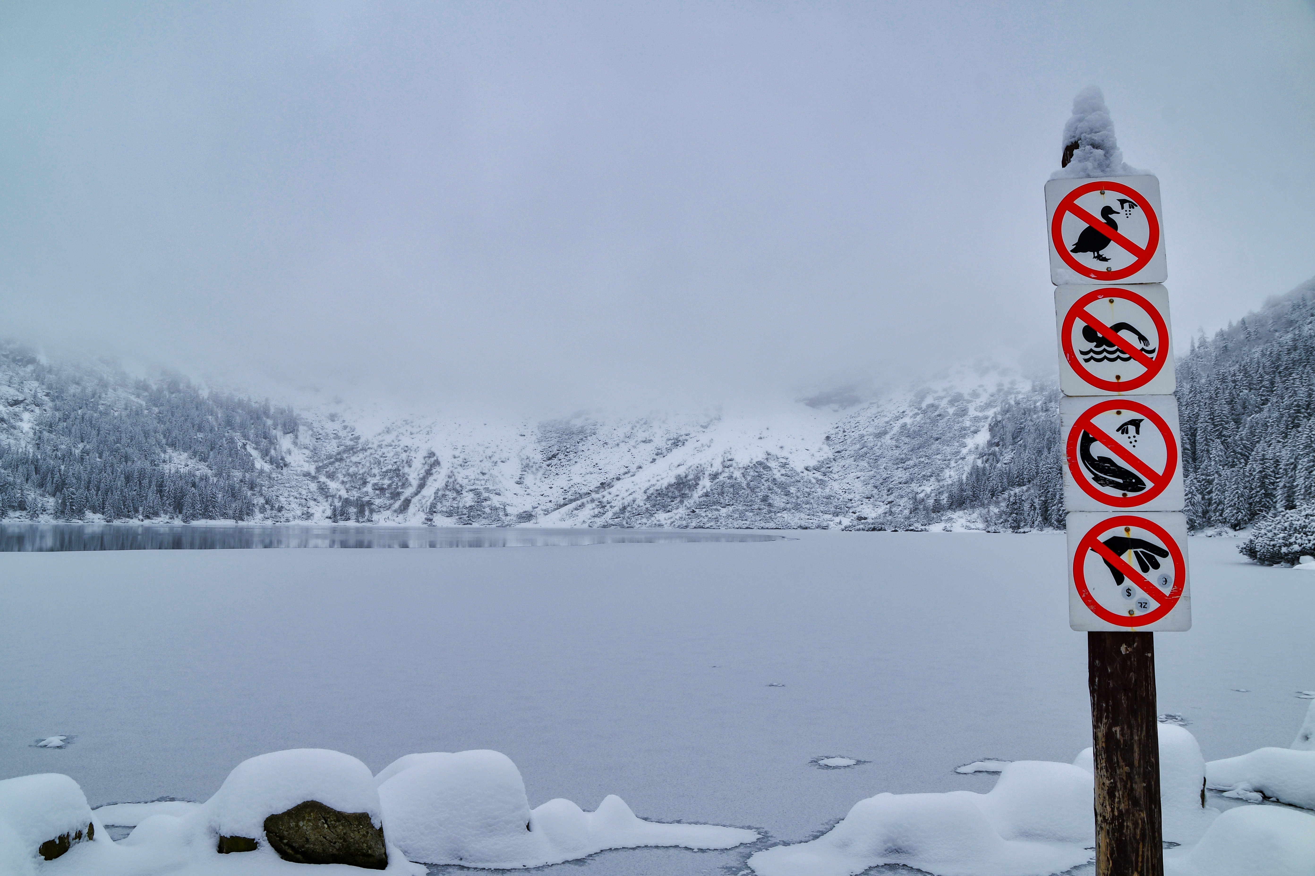Jezioro Morskie Oko