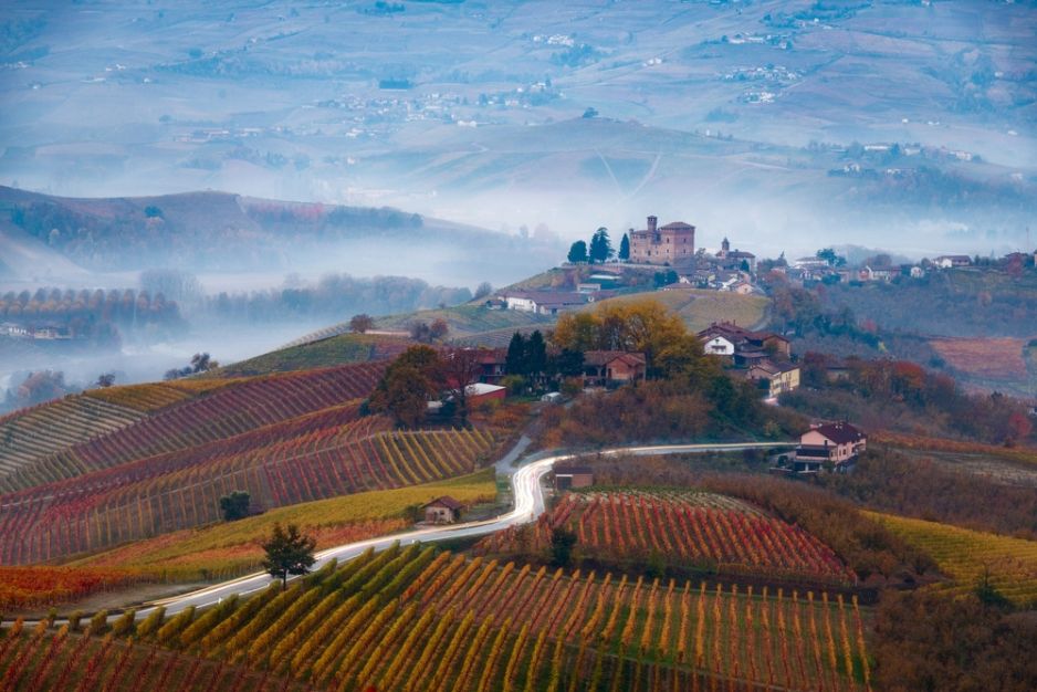 Barolo znajduje się w sercu Piemontu. Są tu średniowieczne wioski, najsłynniejsze wino i najdroższe grzyby (fot. Shutterstock)
