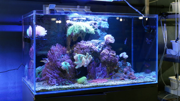 orientarium