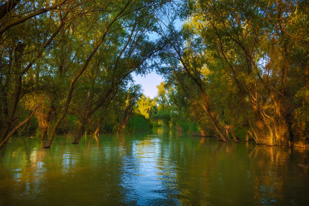 delta Dunaju