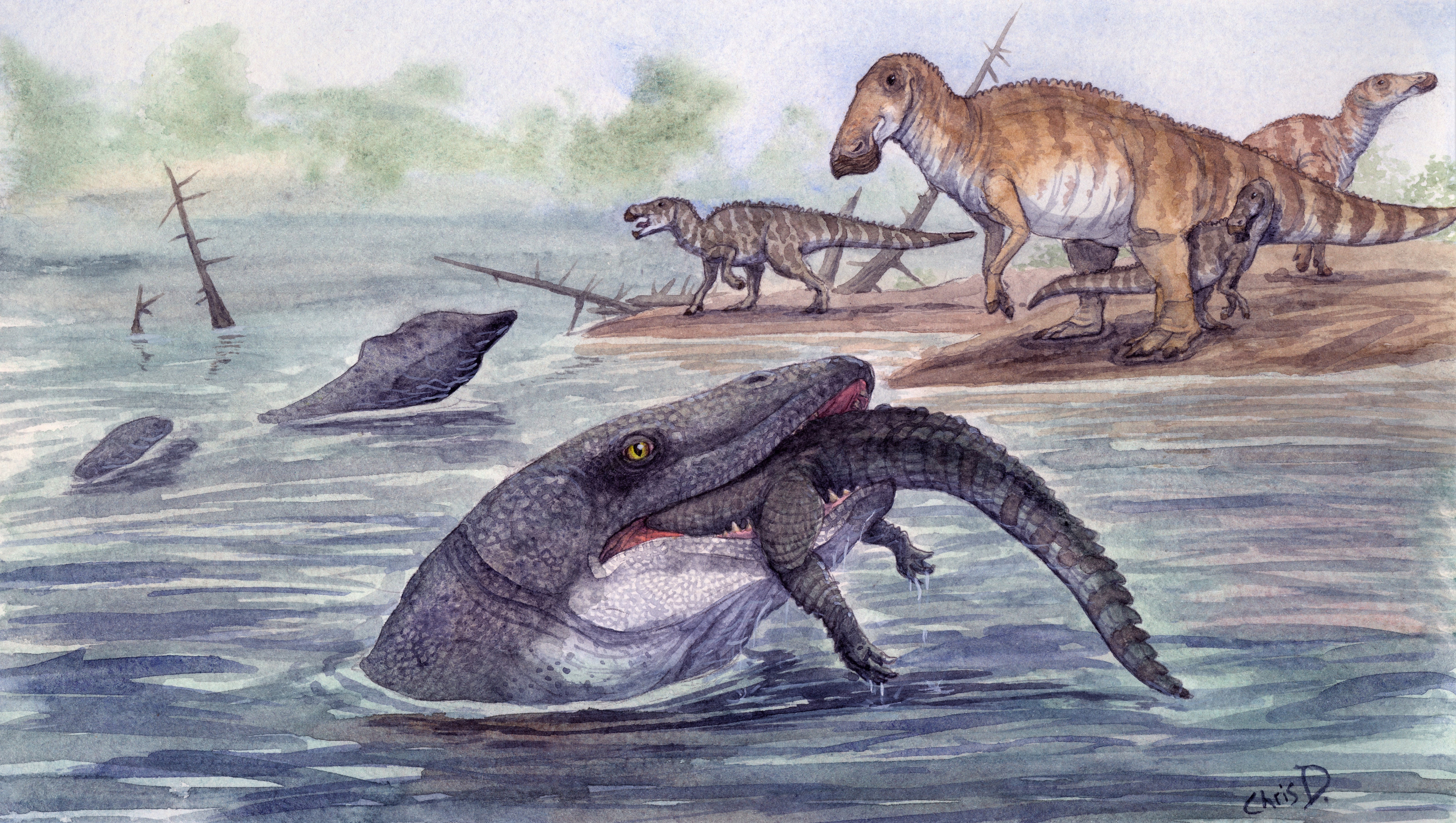 Tego wielkiego jaszczura nie powinno tam być. „Mógł czasami żywić się utopionymi dinozaurami”