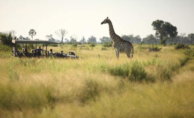 okawango