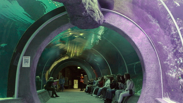 orientarium