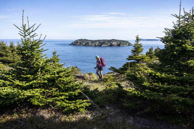 szlak east coast trail w Nowej Fundlandii