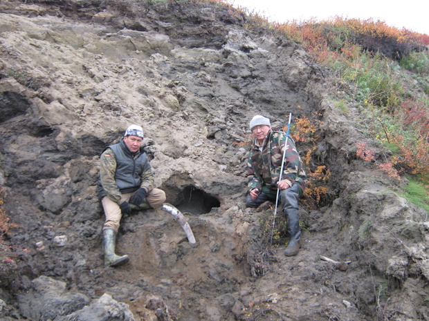 Tumat find locality
