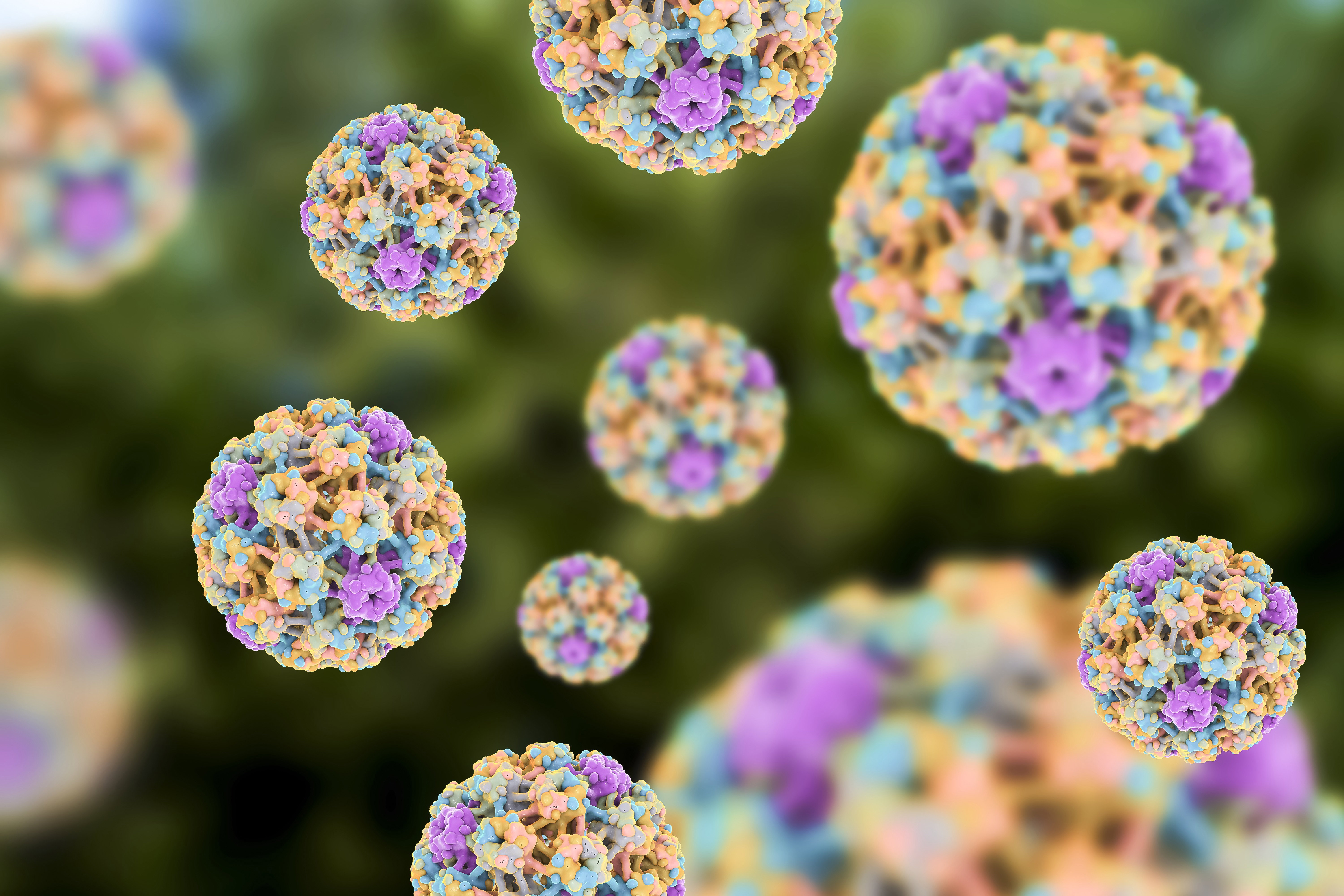 Powszechny wirus HPV może zakażać różne części ciała; niektóre jego typy są związane z rozwojem raka szyjki macicy.