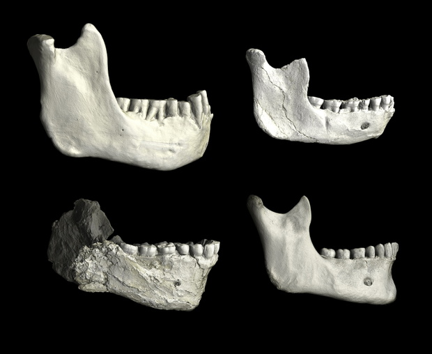 przodek-maroko-2