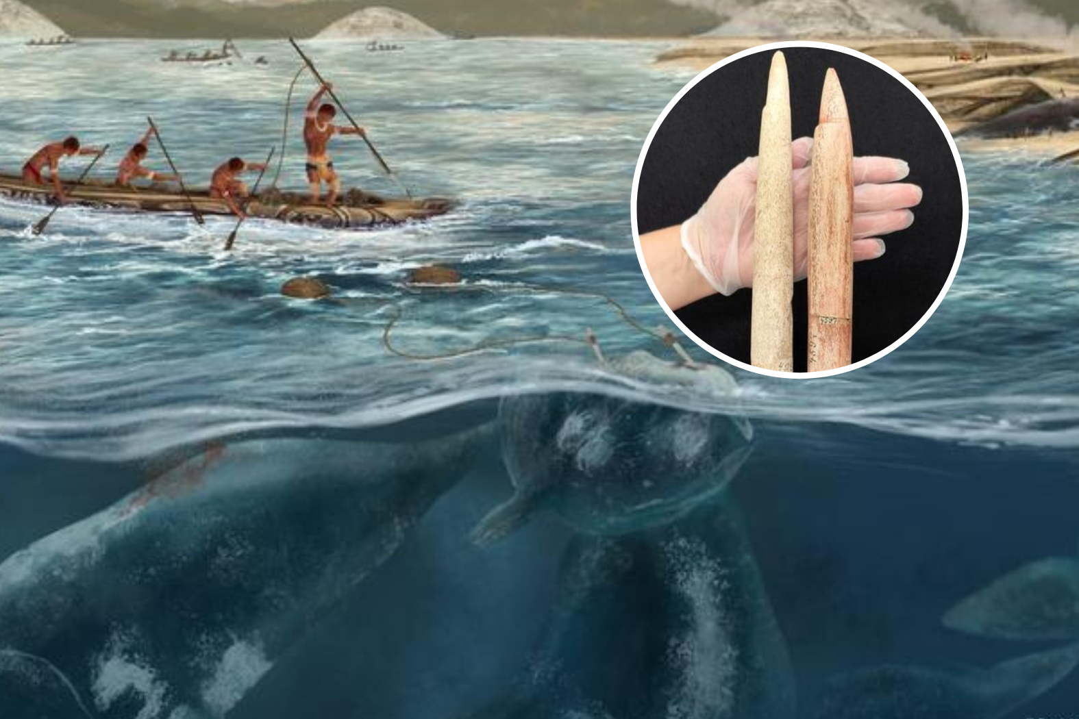 Gdzie i kiedy ludzie zaczęli polować na wieloryby? Zaskakujące dane archeologów