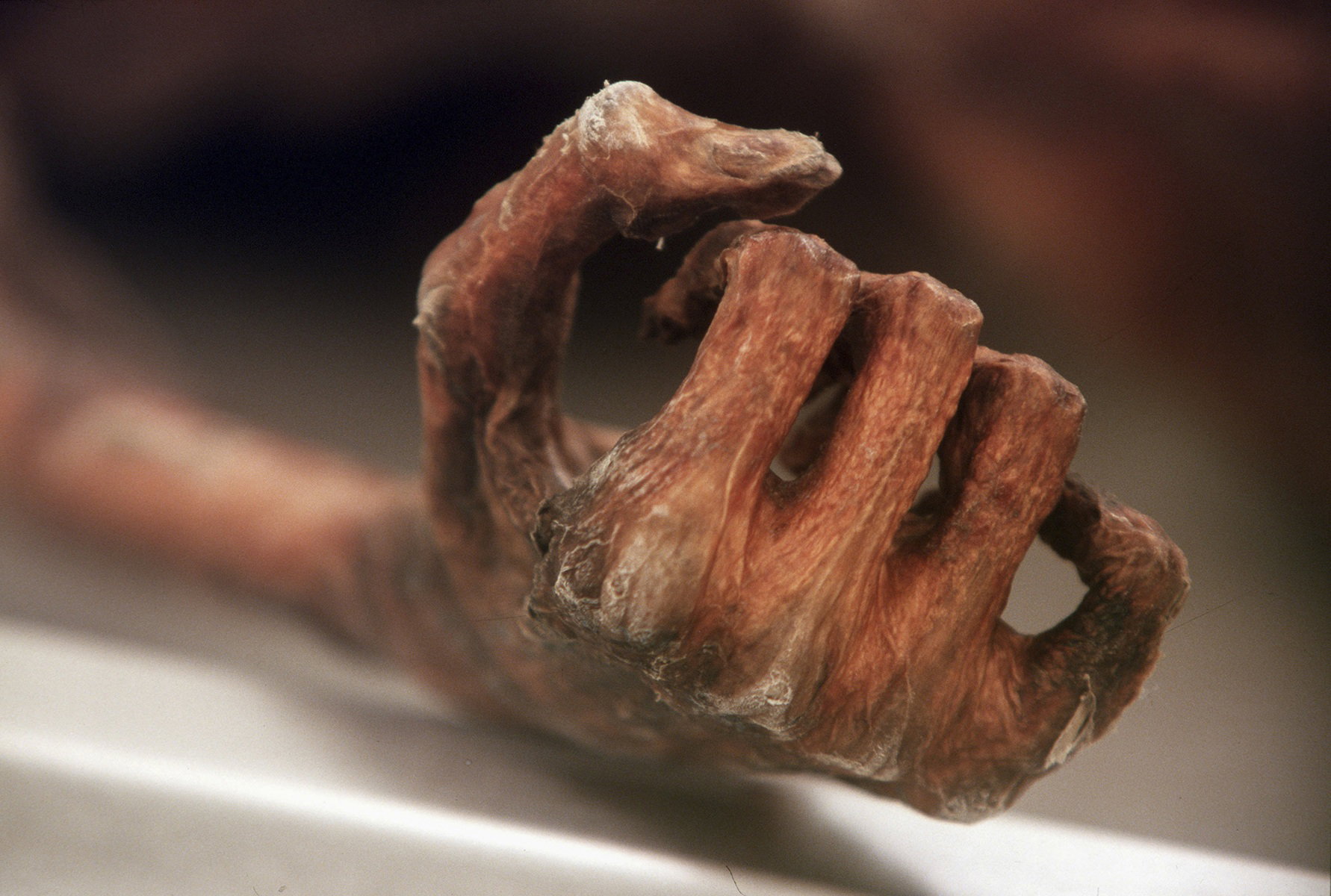 Słynny Ötzi był nosicielem groźnego wirusa