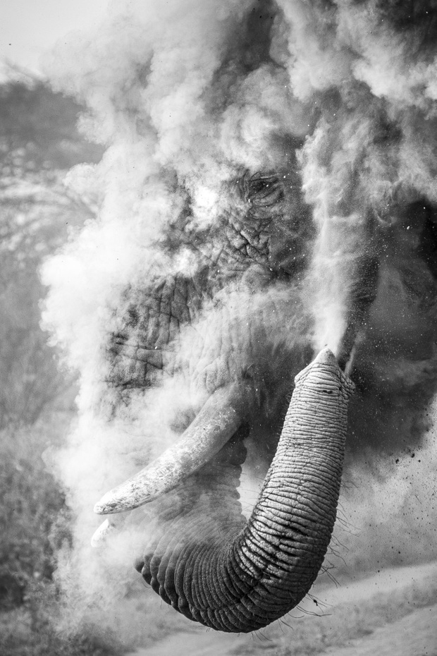 Travel Photographer of the Year 2025