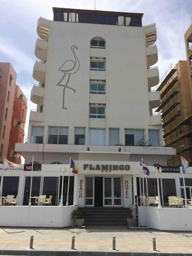 Cypr_flamingo2